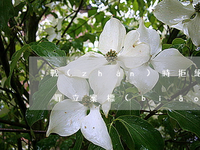 戰(zhàn)時拒絕、故意延誤軍事訂貨罪立案標(biāo)準(zhǔn)_2021戰(zhàn)時拒絕、故意延誤軍事訂貨罪量刑標(biāo)準(zhǔn)和認定構(gòu)成要件
